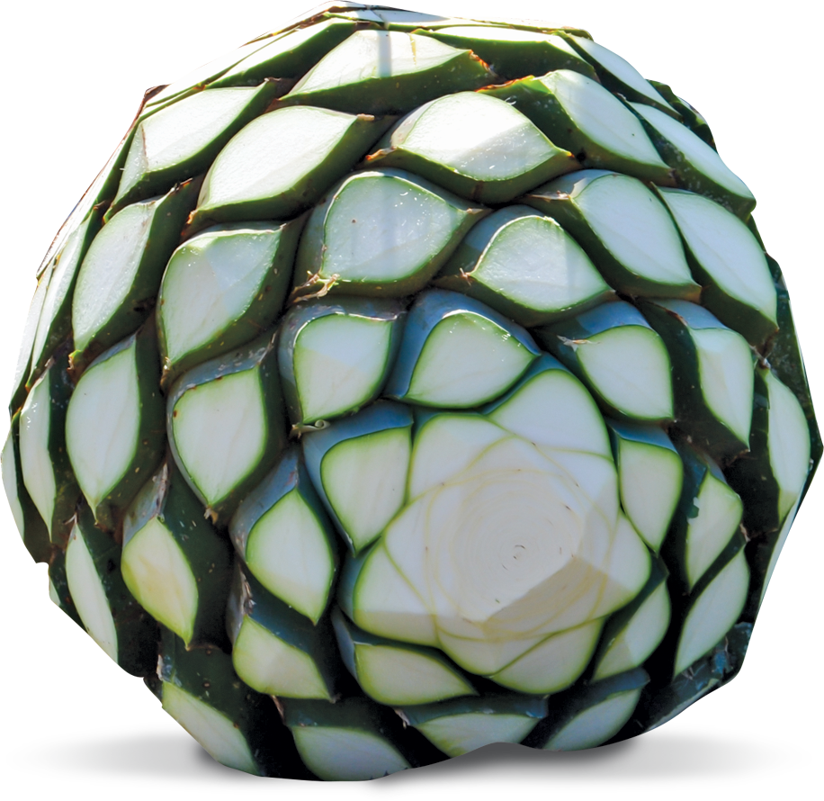 kisspng-tequila-mezcal-mexican-cuisine-distilled-beverage-tequila-5acb6a63722b74.1697235115232804834677